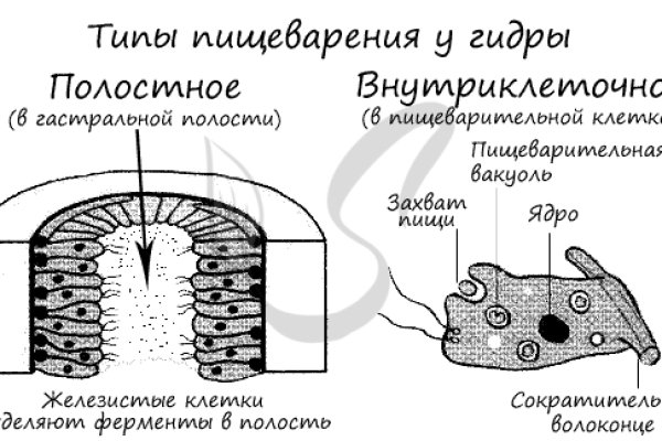 Сайт кракен россия