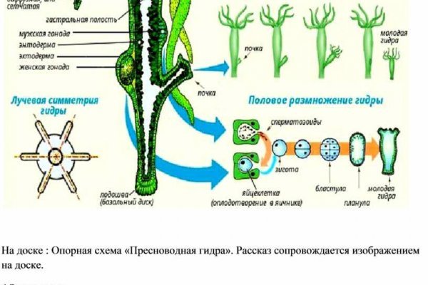 Ссылка на магазин кракен