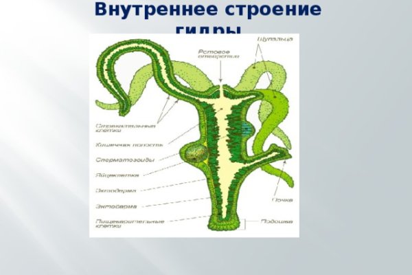 Кракен сайт упал