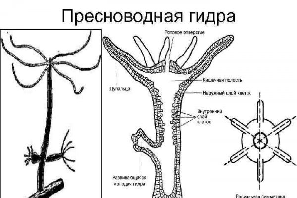 Кракен тор зеркало