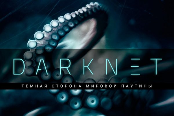 Kraken 14at